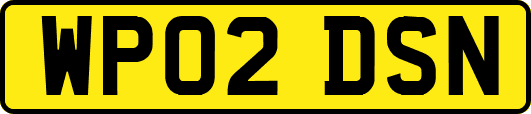 WP02DSN