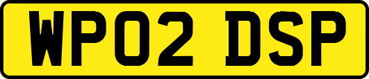 WP02DSP
