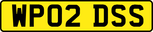 WP02DSS