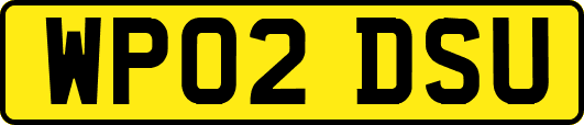 WP02DSU
