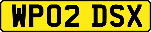 WP02DSX