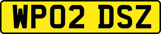 WP02DSZ