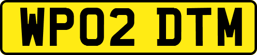 WP02DTM