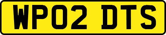 WP02DTS