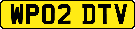 WP02DTV