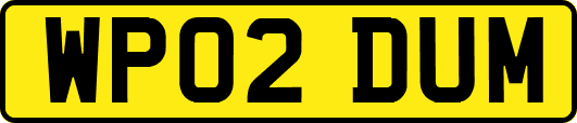 WP02DUM