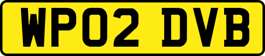 WP02DVB