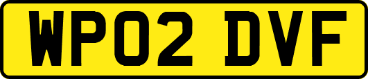 WP02DVF