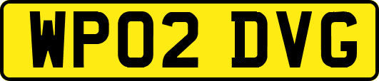 WP02DVG