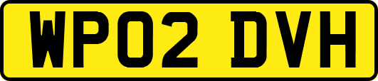 WP02DVH