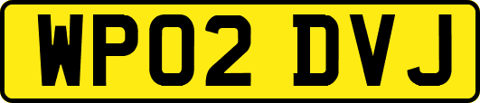 WP02DVJ