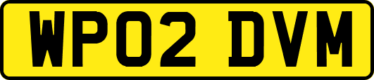 WP02DVM