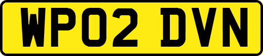 WP02DVN