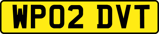 WP02DVT
