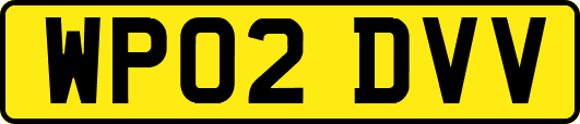WP02DVV