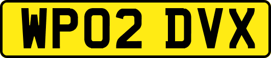 WP02DVX