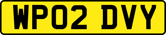 WP02DVY