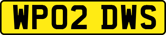 WP02DWS