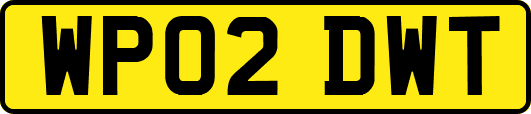 WP02DWT