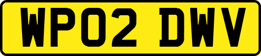 WP02DWV