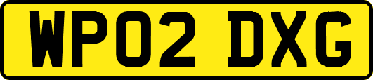 WP02DXG