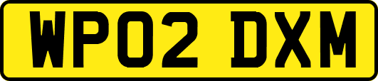 WP02DXM