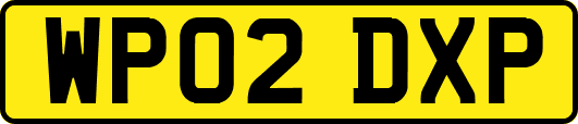 WP02DXP