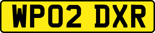 WP02DXR
