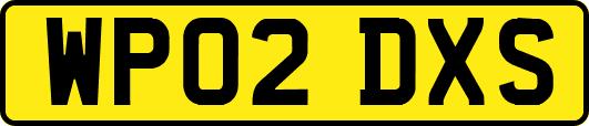 WP02DXS