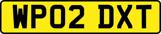 WP02DXT