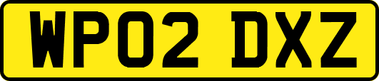 WP02DXZ