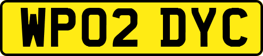 WP02DYC