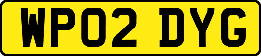 WP02DYG