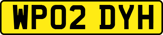 WP02DYH