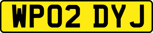 WP02DYJ
