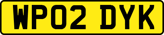 WP02DYK