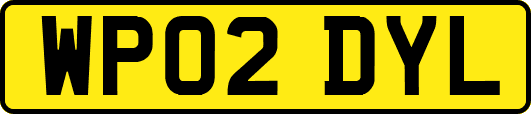 WP02DYL