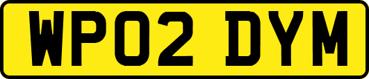 WP02DYM