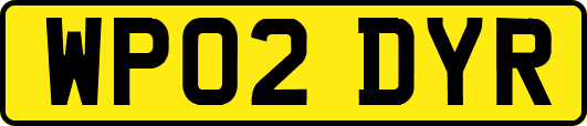 WP02DYR