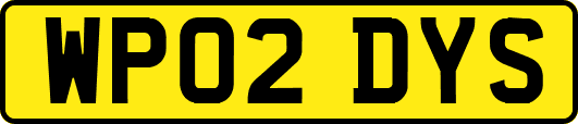 WP02DYS