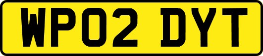 WP02DYT