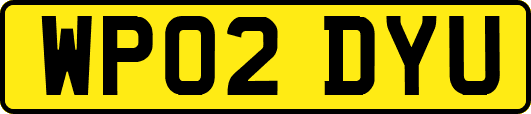WP02DYU