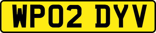 WP02DYV