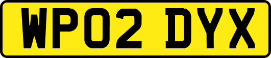 WP02DYX