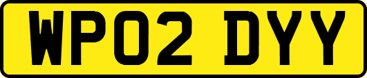 WP02DYY