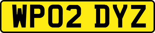 WP02DYZ