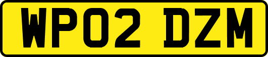 WP02DZM