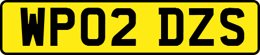 WP02DZS