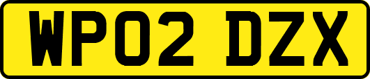 WP02DZX