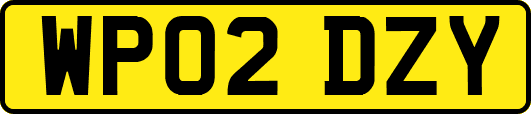 WP02DZY